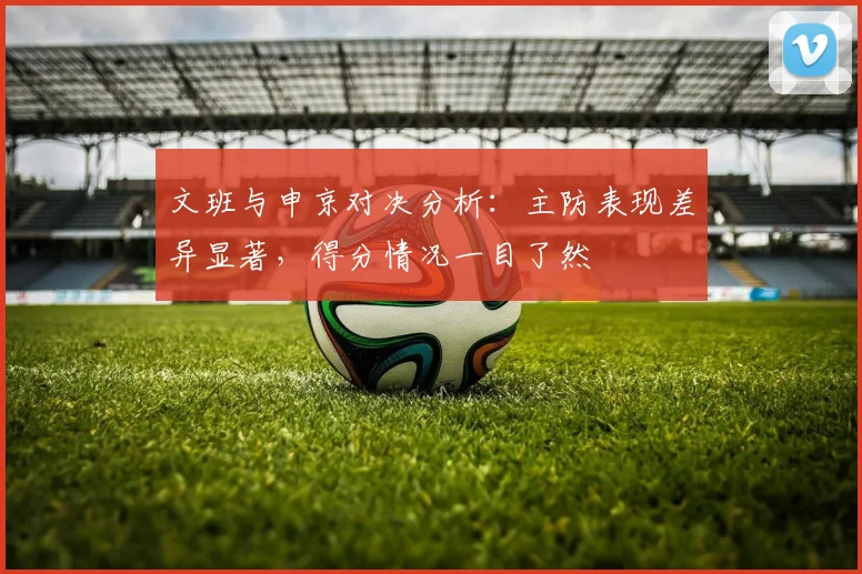 文班与申京对决分析：主防表现差异显著，得分情况一目了然